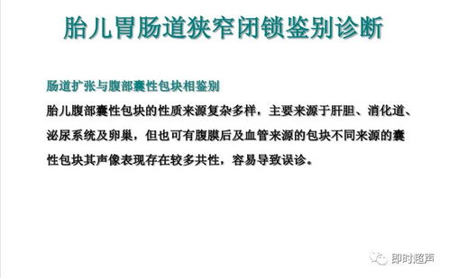 胎兒消化系統(tǒng)超聲檢查與肝癌血漿microRNA標(biāo)志物檢測報(bào)告系統(tǒng)的綜合應(yīng)用
