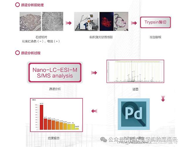 肝癌血漿microRNA標(biāo)志物檢測報(bào)告系統(tǒng) 臨床質(zhì)譜檢測企業(yè)的新藍(lán)海